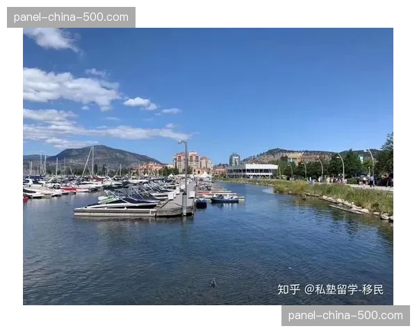 巴基斯坦曲棍球名将宣布移民加拿大,南亚曲棍球人才流失加剧